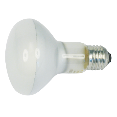 NOVITAL LAMPADA A FUNGO - 100 W