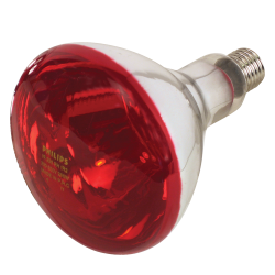 NOVITAL LAMPADA INFRAROSSI PHILIPS - 250 W