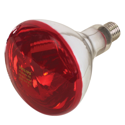 NOVITAL LAMPADA INFRAROSSI PHILIPS - 250 W