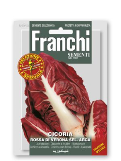 CICORIA ROSSA DI VERONA SEL. ARCA