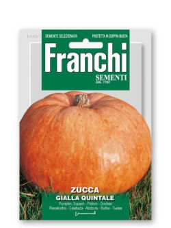 ZUCCA GIALLA QUINTALE