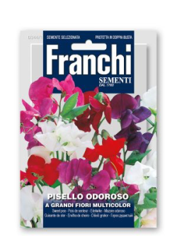 PISELLO ODOROSO A GRANDI FIORI MULTICOLOR