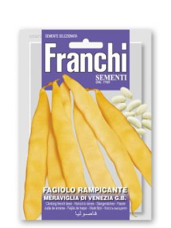 FAGIOLO RAMPICANTE MERAVIGLIA DI VENEZIA A GRANO BIANCO