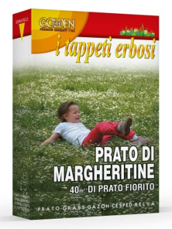 PRATO DI MARGHERITE
