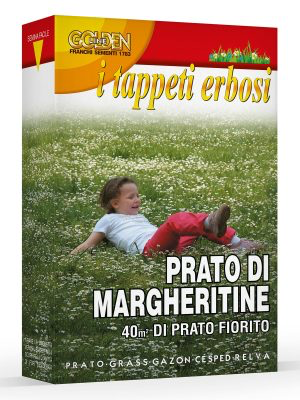 PRATO DI MARGHERITE