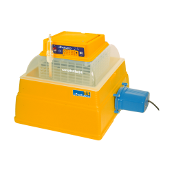 NOVITAL COVATUTTO 24 AUTOMATICA