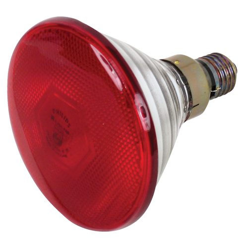 NOVITAL LAMPADA INFRAROSSI PHILIPS PAR