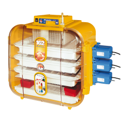 NOVITAL COVATUTTO 162 AUTOMATICA