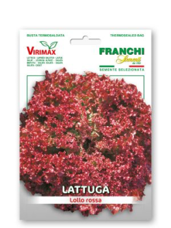 LATTUGA LOLLO ROSSA