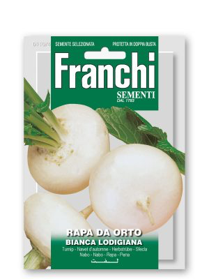 RAPA DA ORTO BIANCA LODIGIANA