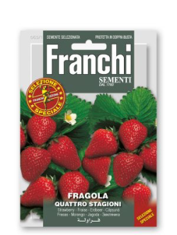FRAGOLA QUATTRO STAGIONI