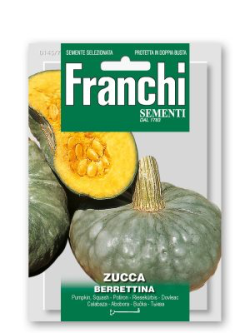 ZUCCA BERRETTINA