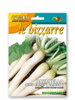 RAVANELLO MINO EARLY DAIKON