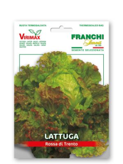 LATTUGA ROSSA DI TRENTO
