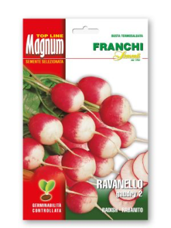 RAVANELLO GAUDRY 2