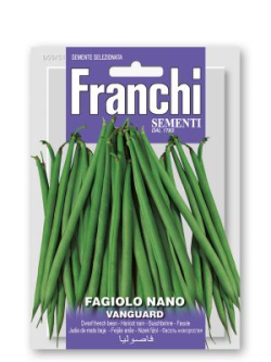 FAGIOLO NANO VANGUARD