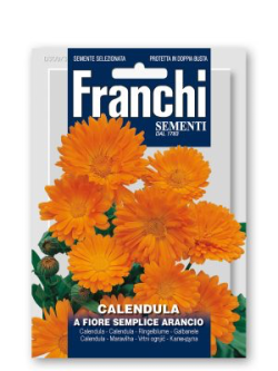 CALENDULA A FIORE SEMPLICE ARANCIO