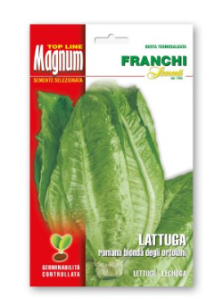 LATTUGA ROMANA BIONDA DEGLIO ORTOLANI