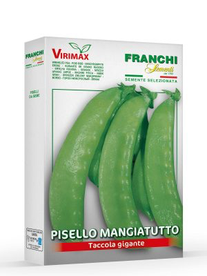 PISELLO MANGIATUTTO TACCOLA GIGANTE