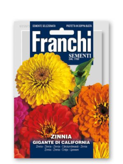 ZINNIA GIGANTE DI CALIFORNIA