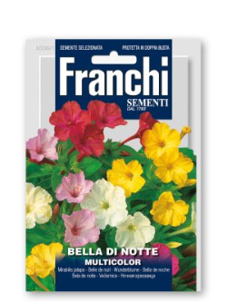 BELLA DI NOTTE MULTICOLOR