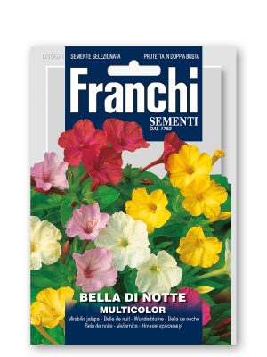 BELLA DI NOTTE MULTICOLOR