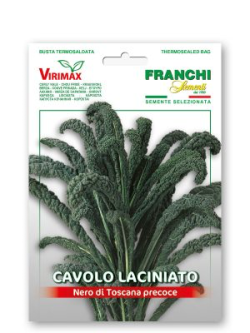CAVOLO LACINIATO NERO DI TOSCANA