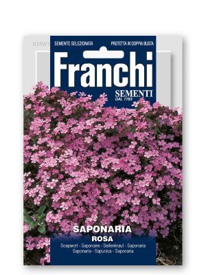 SAPONARIA ROSA