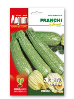 ZUCCHINO GENOVESE