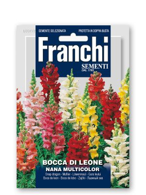 BOCCA DI LEONE NANA MULTICOLOR