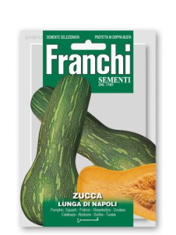 ZUCCA LUNGA DI NAPOLI