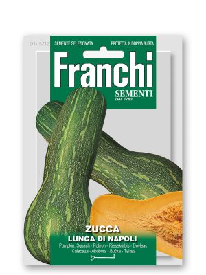 ZUCCA LUNGA DI NAPOLI