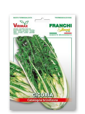 CICORIA CATALOGNA BRINDISINA