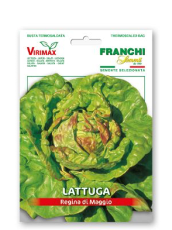 LATTUGA REGINA DI MAGGIO