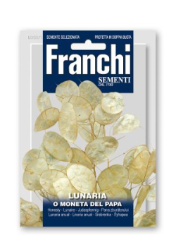 LUNARIA O MONETA DEL PAPA