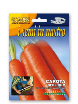 CAROTA BERLICUM