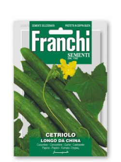 CETRIOLO LONGO DA CHINA