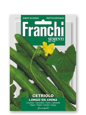 CETRIOLO LONGO DA CHINA