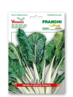 BIETA VERDE A COSTINA BIANCA