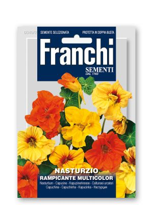 NASTURZIO RAMPICANTE MULTICOLOR
