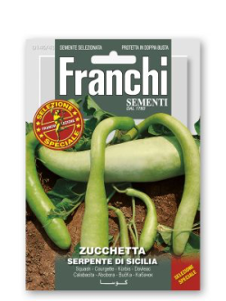 ZUCCHETTA SERPENTE DI SICILIA