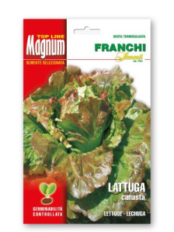 LATTUGA CANASTA
