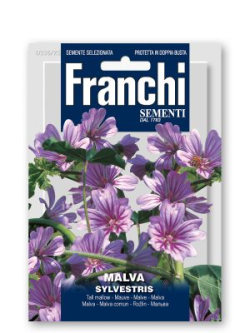 MALVA SYLVESTRIS