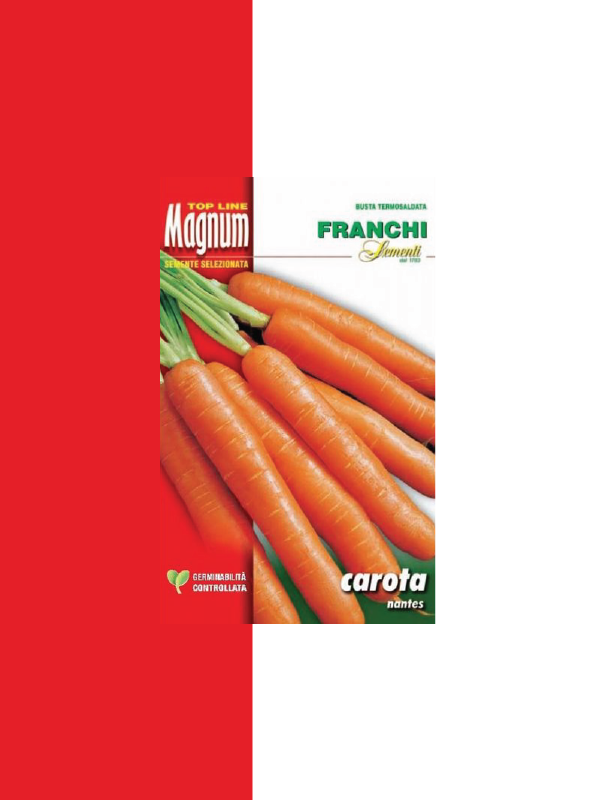 CAROTA NANTES