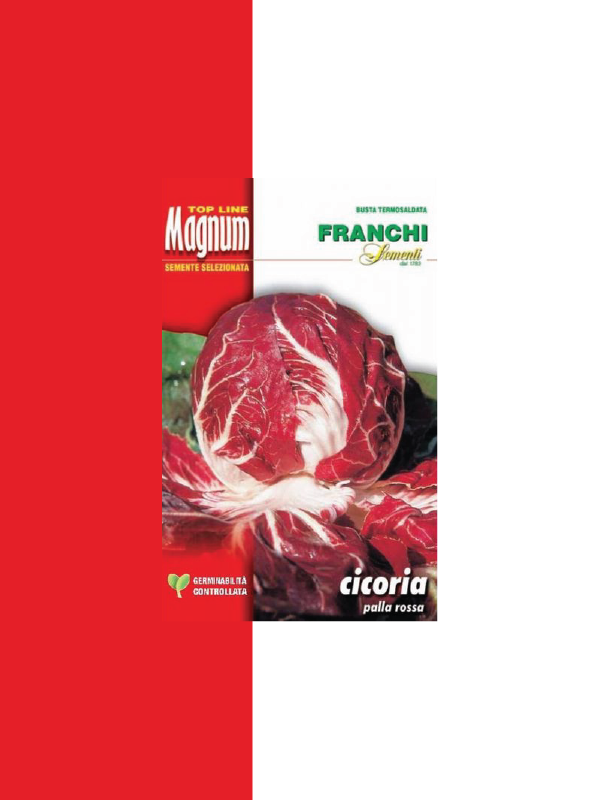 CICORIA PALLA ROSSA PRECOCE