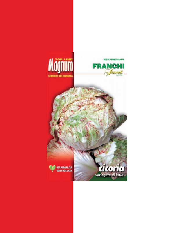 CICORIA VARIEGATA DI LUSIA