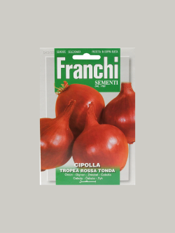 CIPOLLA TROPEA ROSSA TONDA