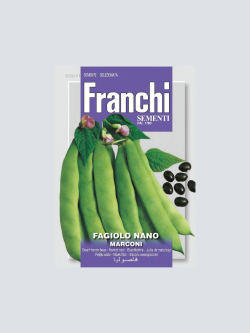 FAGIOLO NANO MARCONI