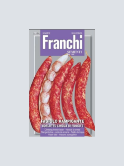 FAGIOLO RAMPICANTE BORLOTTO LINGUA DI FUOCO
