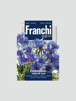 FIORDALISO JUBILEE GERM